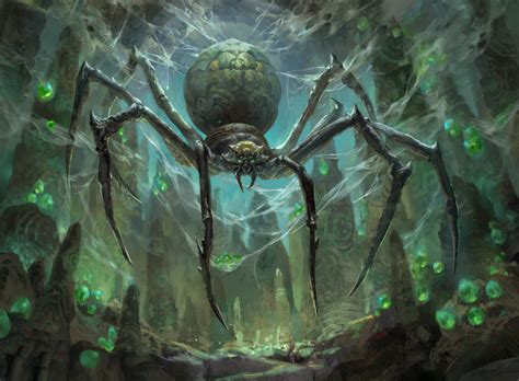Spider Divination: Using Spider Webs and Spider Behavior to Predict the Future
